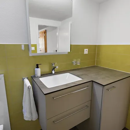 Magnifique A Loeche-les-bains Apartment