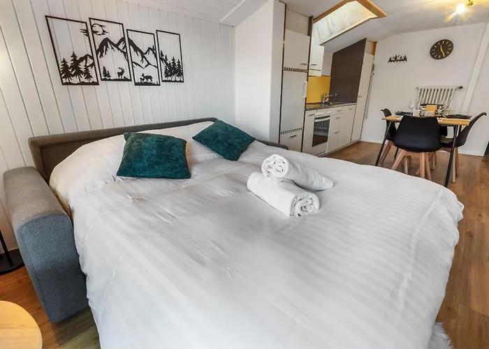 Magnifique A Loeche-les-bains 公寓 *